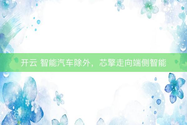 开云 智能汽车除外，芯擎走向端侧智能