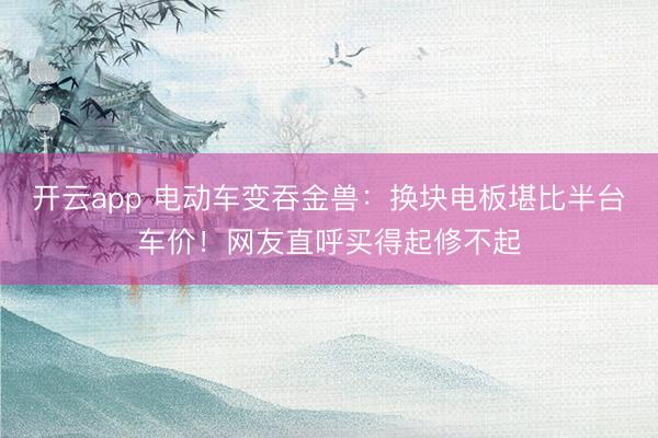 开云app 电动车变吞金兽：换块电板堪比半台车价！网友直呼买得起修不起